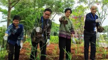 推进全球优质草药产品,世卫组织赞赏Bintang Toedjoe