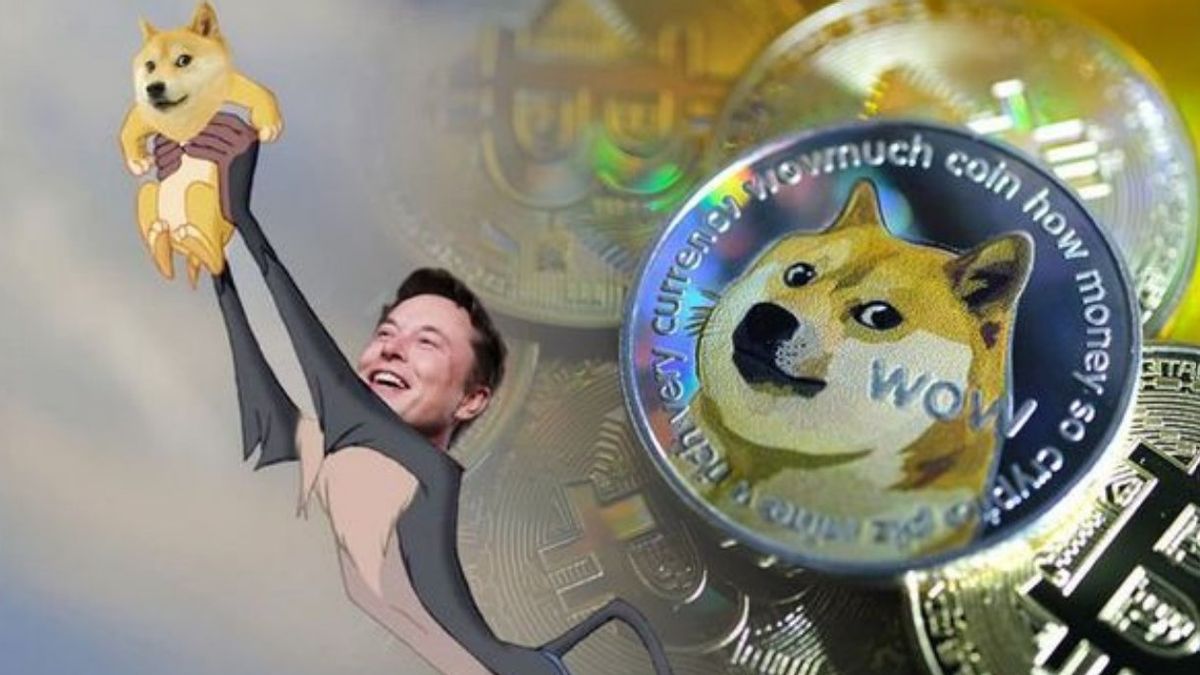 سيقدم Elon Musk ميزات الدفع في Twiter ، استخدم Dogecoin؟