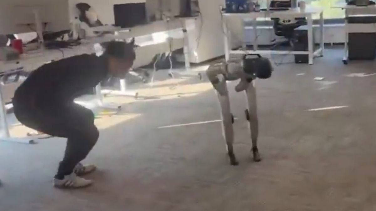 ユニートリーG1の人型ロボットの面白い事件がウイルス:コーチを蹴り、彼の痛みを模倣する