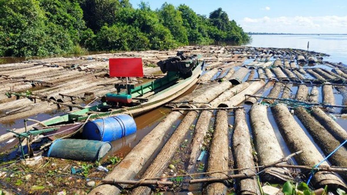 Central Kalimantan Police Confiscate 400 Logs Of Illegal Logging, Funders Are Being Hunted