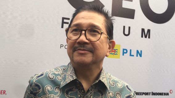 Keberatan dengan Bea Keluar, Bos Freeport akan Ajukan Banding