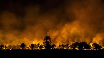 Terus Alami Lonjakan Titik Api, BNPB Minta Pemprov Kalsel Optimalkan Kinerja Satgas Darat 