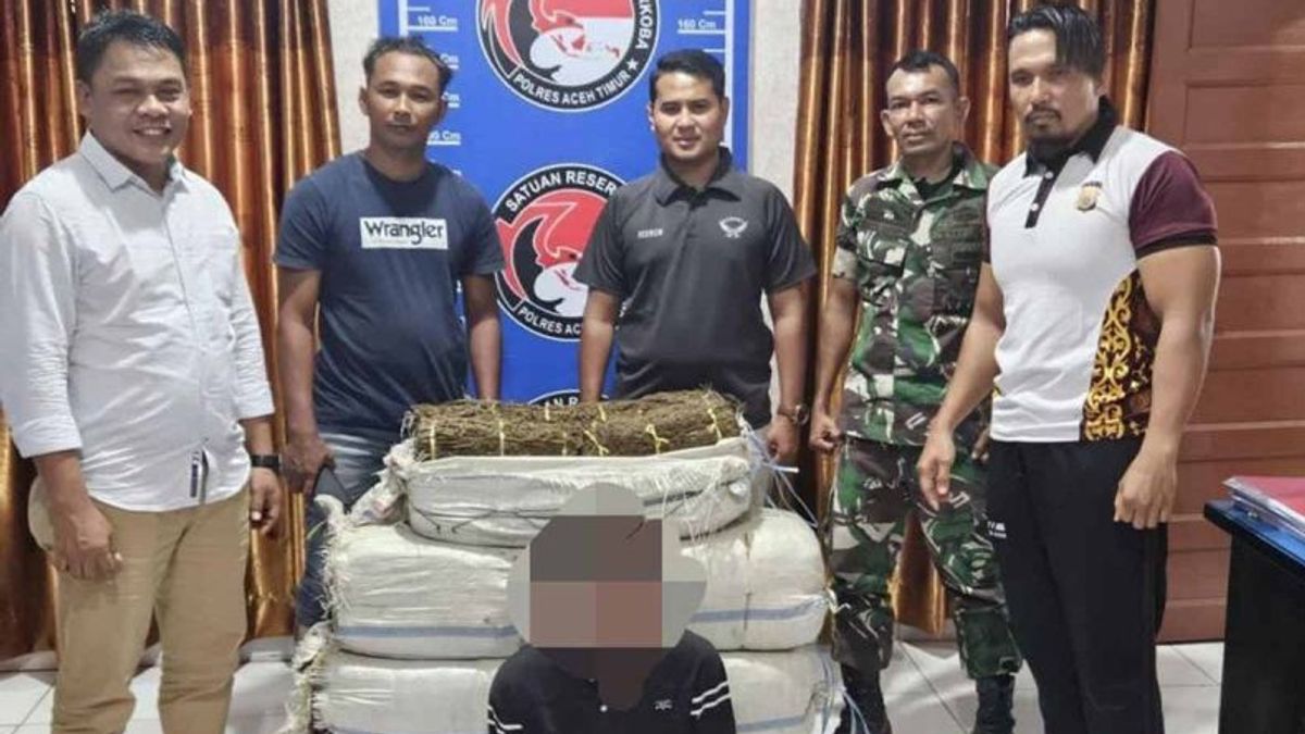 TNIが東アチェで75キログラムのマリファナの密輸を阻止