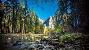 Petugas Taman Nasional Yosemite Dipecat Setelah Mengibarkan Bendera Transgender