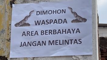 尚未解决Matraman的空房子案件,因此蛇的毒,居民再次发现2个Ekor Sanca Besar