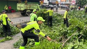 Jakbar Pangkas 60 Pohon Antisipasi Tumbang saat Cuaca Ekstrem
