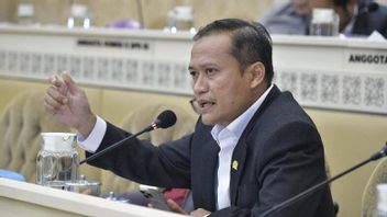 Gerindra Legislator Soroti Soal Papua Selatan, Film Pesta Babi dan Perang Persepsi di Era Propaganda Modern