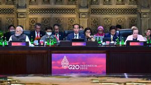Menlu Rusia Lavrov dan Sejumlah Pemimpin Delegasi Pulang Lebih Awal dari KTT G20 Bali