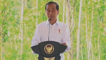 Jokowi Mendarat Perdana di Bandara VVIP IKN: Runwaynya Mulus, Semuanya Lancar