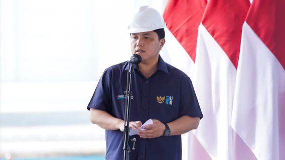 Tegas! Menteri BUMN Ancam Ciutkan Lahan Vale jika Harga Saham Divestasi Tak Dikasih Murah