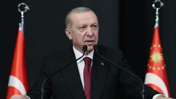 土耳其总统埃尔多安称以色列破坏了中东和平倡议