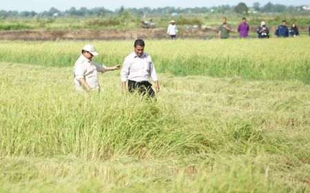 Mentan Amran Dampingi Prabowo Kunker ke Merauke demi Percepat Swasembada Pangan