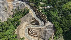 Pembangunan Jalan Trans Papua 50,14 Km Dikebut, Progres Berjalan Sesuai Target