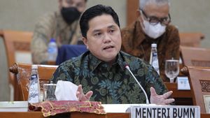 Erick Thohir: Kebutuhan Sapi Indonesia Mengkhawatirkan, 96 Persen Impor!