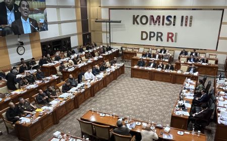 Singgung Kasus Tom Lembong, DPR ke Jaksa Agung: Jangan Sampai Ada Opini Negatif ke Pemerintahan