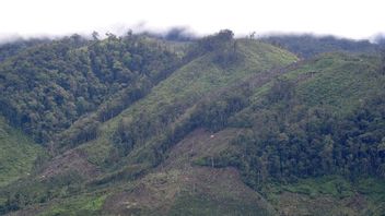 Révision de la loi KSDAHE, KLHK dit contenant un parapluie juridique pour le financement de la conservation