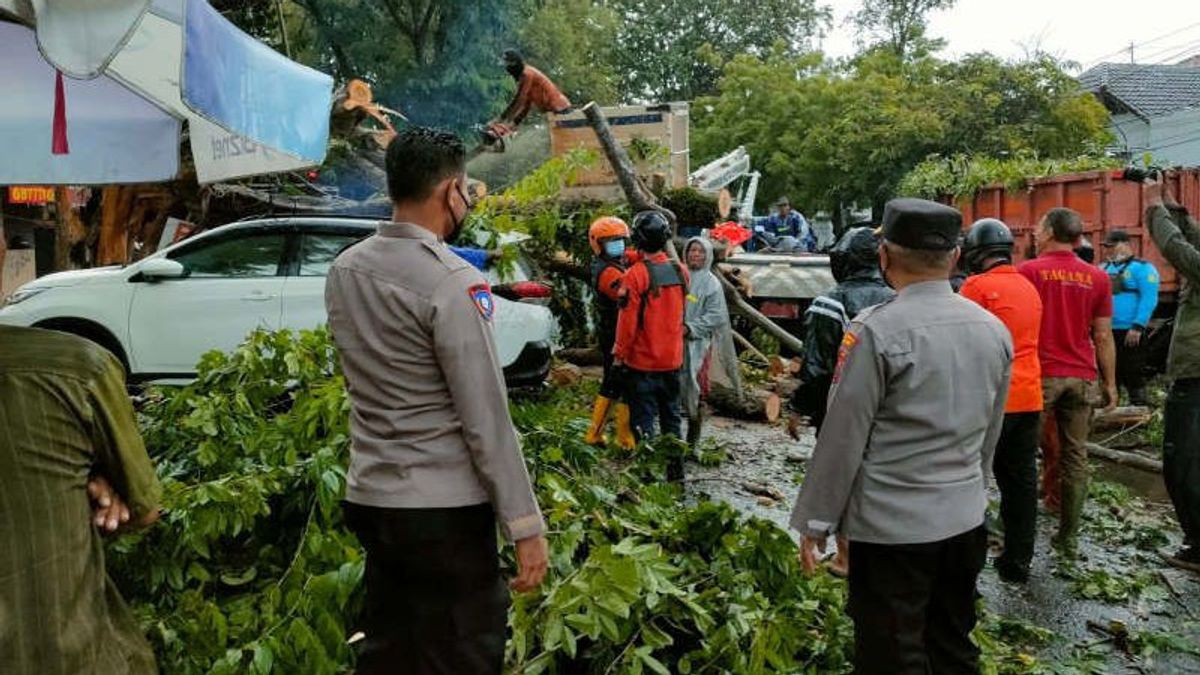 3 Voitures Frappées Par La Chute D’arbres En Raison De Vents Forts à Semarang