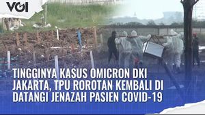 VIDEO: Kasus Omicron DKI Jakarta Melonjak, TPU Rorotan Kembali Dipenuhi Jenazah Pasien COVID-19