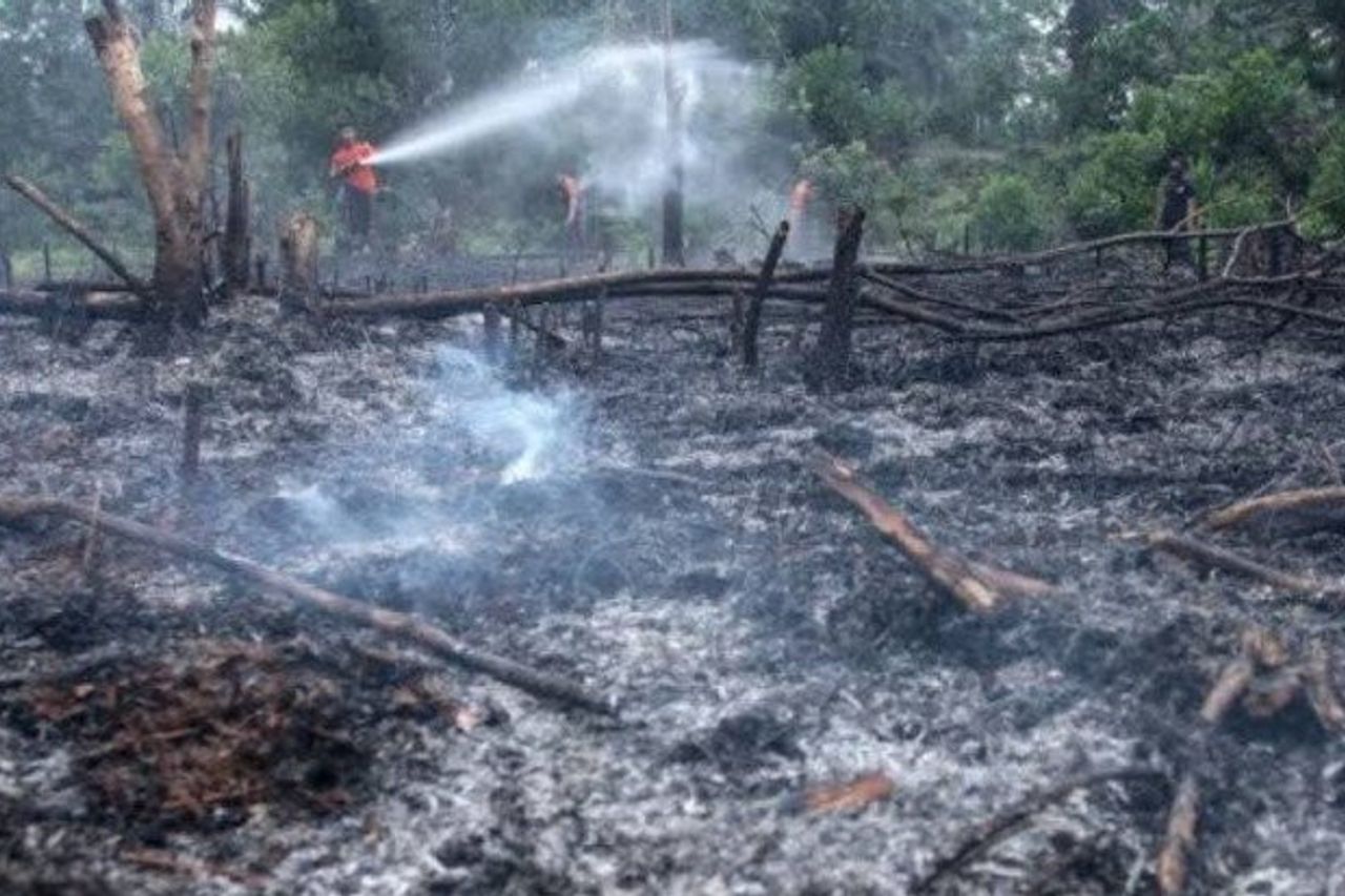 南カリマンタンのカルフットラが広範囲に広がり、大気質の懸念が増大