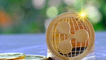 Ripple lance OpenEden pour le jeton de titres américains sur XRP Ledger