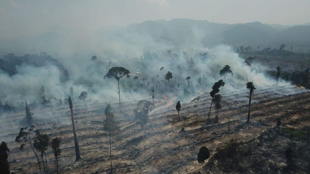 警方调查Sumay Tebo Jambi森林和陆地火灾的原因