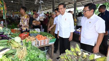 Konsisten Perangi Kelaparan dan Kemiskinan, Presiden Jokowi Raih Penghargaan dari FAO