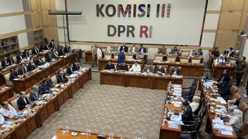 Setahun Prabowo-Gibran, Komisi III DPR Puji Stabilitas dan Reformasi Penegakan Hukum