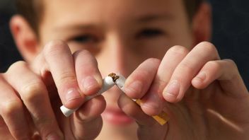 Immediately Stop, Cigarettes More Larger Gets To Tubercollose