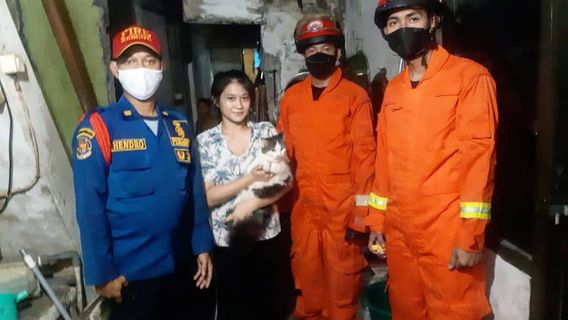 Thumb! Firefighters Save A Cat At Pademangan Trapped In A Wall