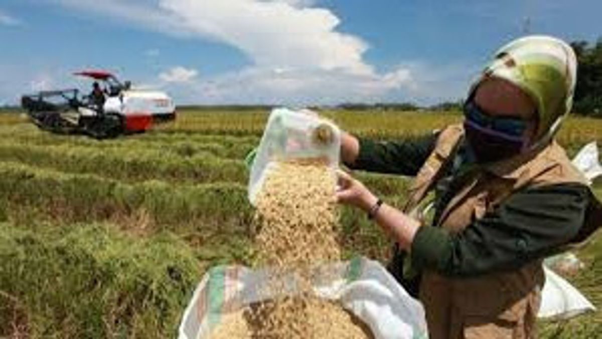 インドネシアの異常気象と国家食料安全保障の脅威、何が危険ですか?