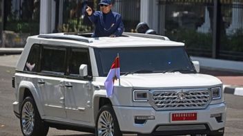 Working On The National Car Project: For The Sake Of Prestige Or Urgency?