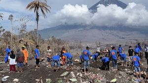 Warga Berbondong-bondong Bantu Cari Harta Benda yang Tertimbun Material Vulkanik Gunung Semeru