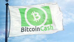 Bitcoin Cash (BCH) Dapat Pembaruan, Ini yang Harus Kamu Tahu!