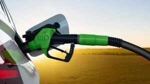 Menang di WTO, Indonesia Desak EU Hapus Bea Masuk Biodiesel