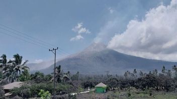 4 Bandara Tidak Beroperasi Akibat Erupsi Gunung Lewotobi