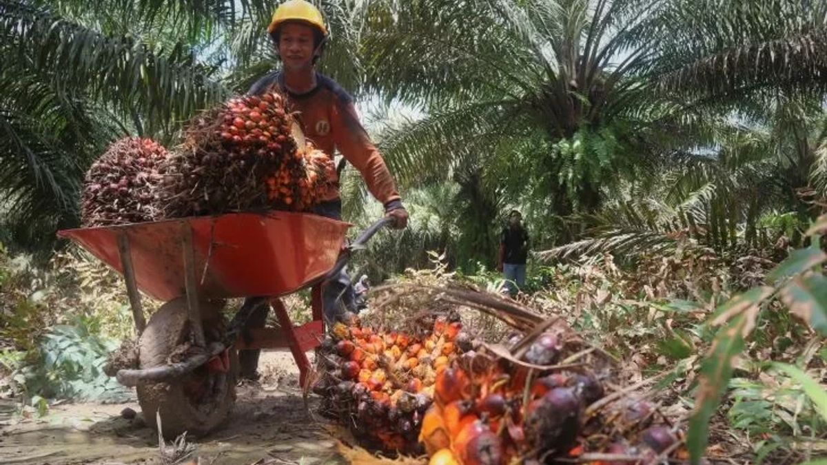 4 Thugs 8 Palm Oil In West Bangka It Turned Out That His Intention To Go Away Fishing, The Case Now In The Process Of Restorative Justice