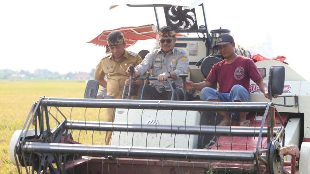 农业部长Syahrul Yasin Limpo收获了卡拉旺的第一次水稻收割