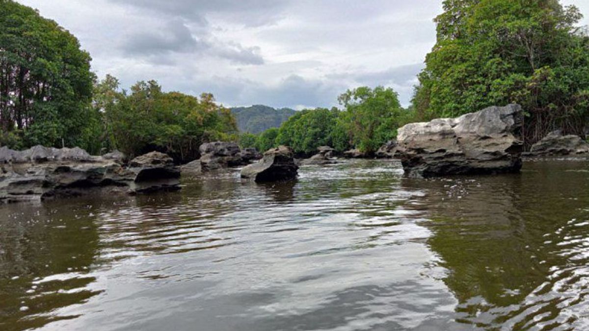 BKSDA Palopo invite les résidents à ne pas se déplacer dans la rivière Rawan Crocodile