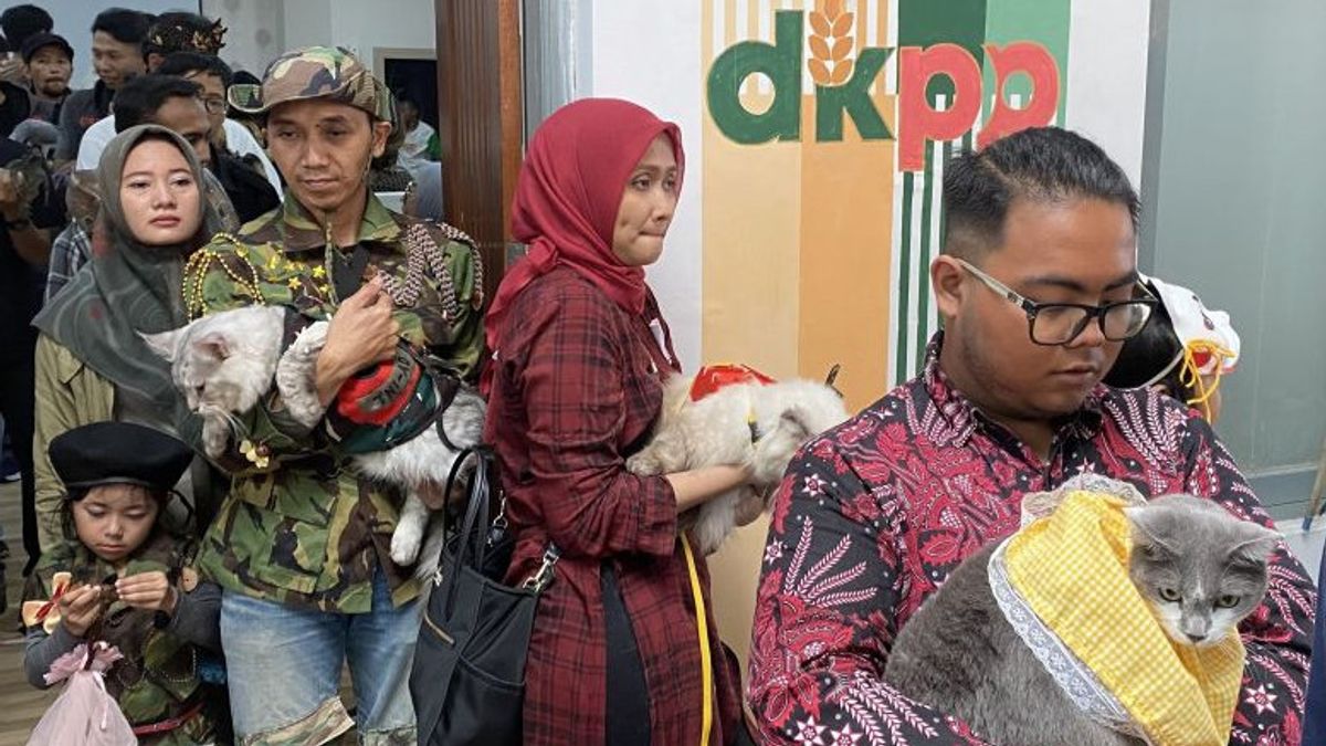 Anticipating Rabies, Bandung City Government Holds Free Vaccination