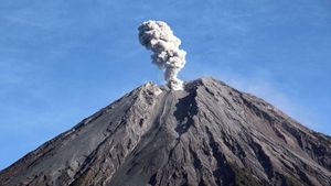 Tuesday Morning, Mount Semeru Erupts And Eruptions Reach 900 Meters High Above The Peak