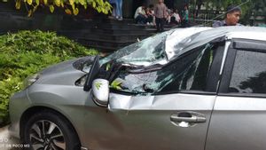 Dinas Pertamanan Ganti Rugi Mobil Milik kontraktor Asal Surabaya yang Tertimpa Pohon di Halaman Pemkot Jakut