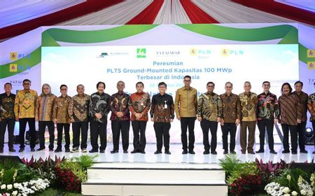 PLTS Ground Mounted Resmi Beroperasi, Tingkatkan Pasokan Listrik Hijau RI