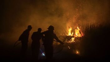 班贾尔巴鲁南加里曼丹近地森林和陆地火灾联合小组