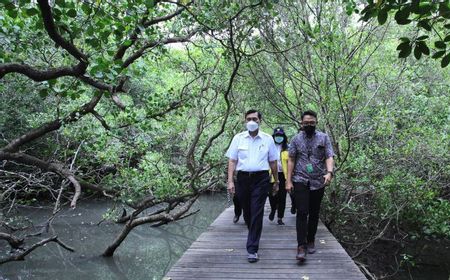 Menko Luhut: Indonesia akan Pamerkan Mangrove ke Pemimpin G20