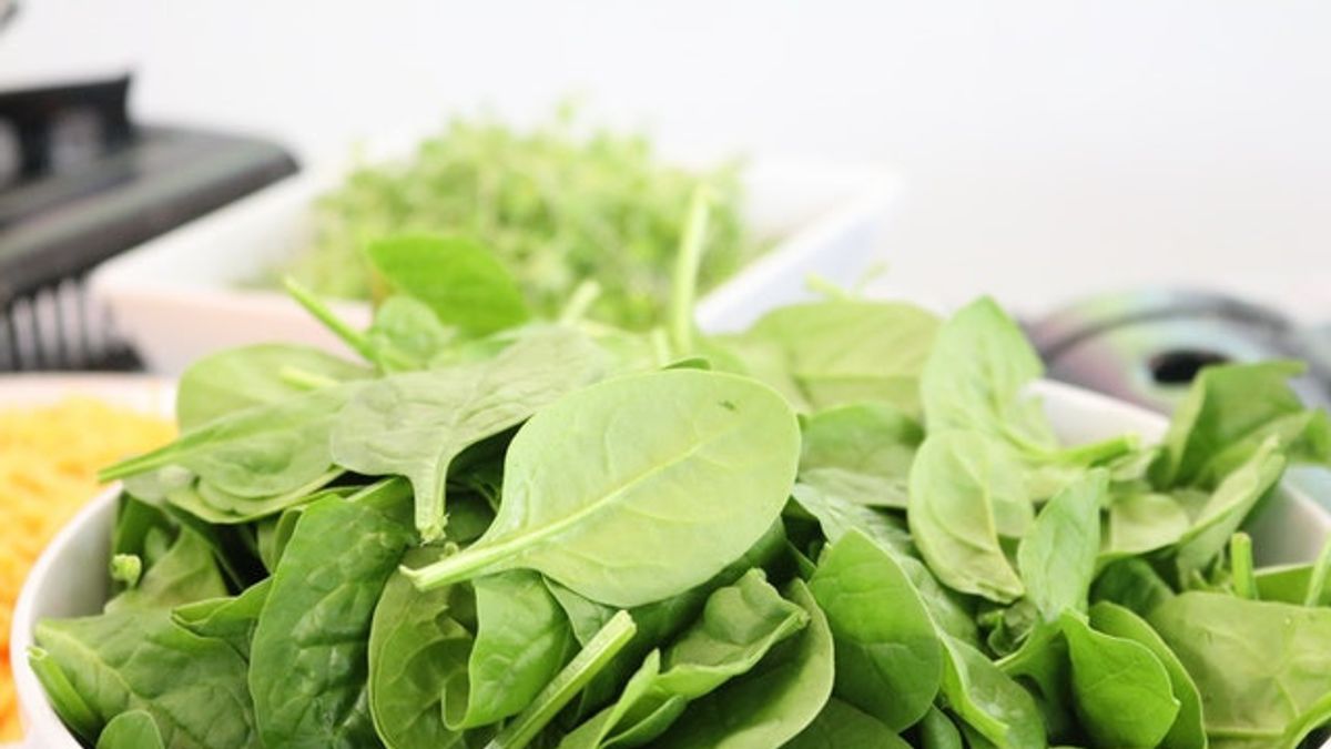 Is It True That Spinach Consumption During Breastfeeding Can Increase Breast Milk Production