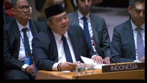 Israel Tuduh Hizbullah, Dubes RI: Kami Minta Investigasi PBB, Bukan Alasan