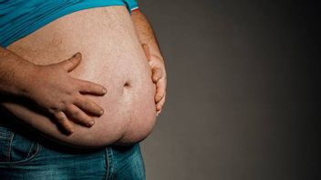  Kata Menkes Bisa Picu Kematian Dini, Apa Sebenarnya Visceral Fat?