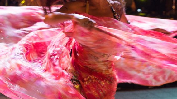 Exhorté à S’excuser Pour La Vidéo Des Réalisateurs De Transjakarta Regardant La Danse Du Ventre, Membre De La DPRD De La Faction Gerindra: Je N’ai Pas Mentionné Le Nom