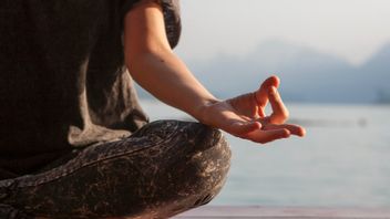 Revealed How To Sharpen Plantation Sciences With Some Simple Exercises