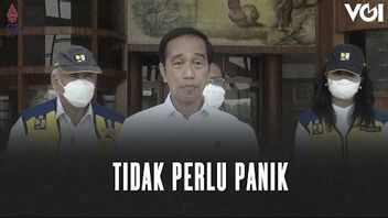 VIDEO: Monkeypox Case In Indonesia, Jokowi: No Need To Panic